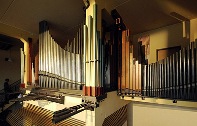 half of the organ